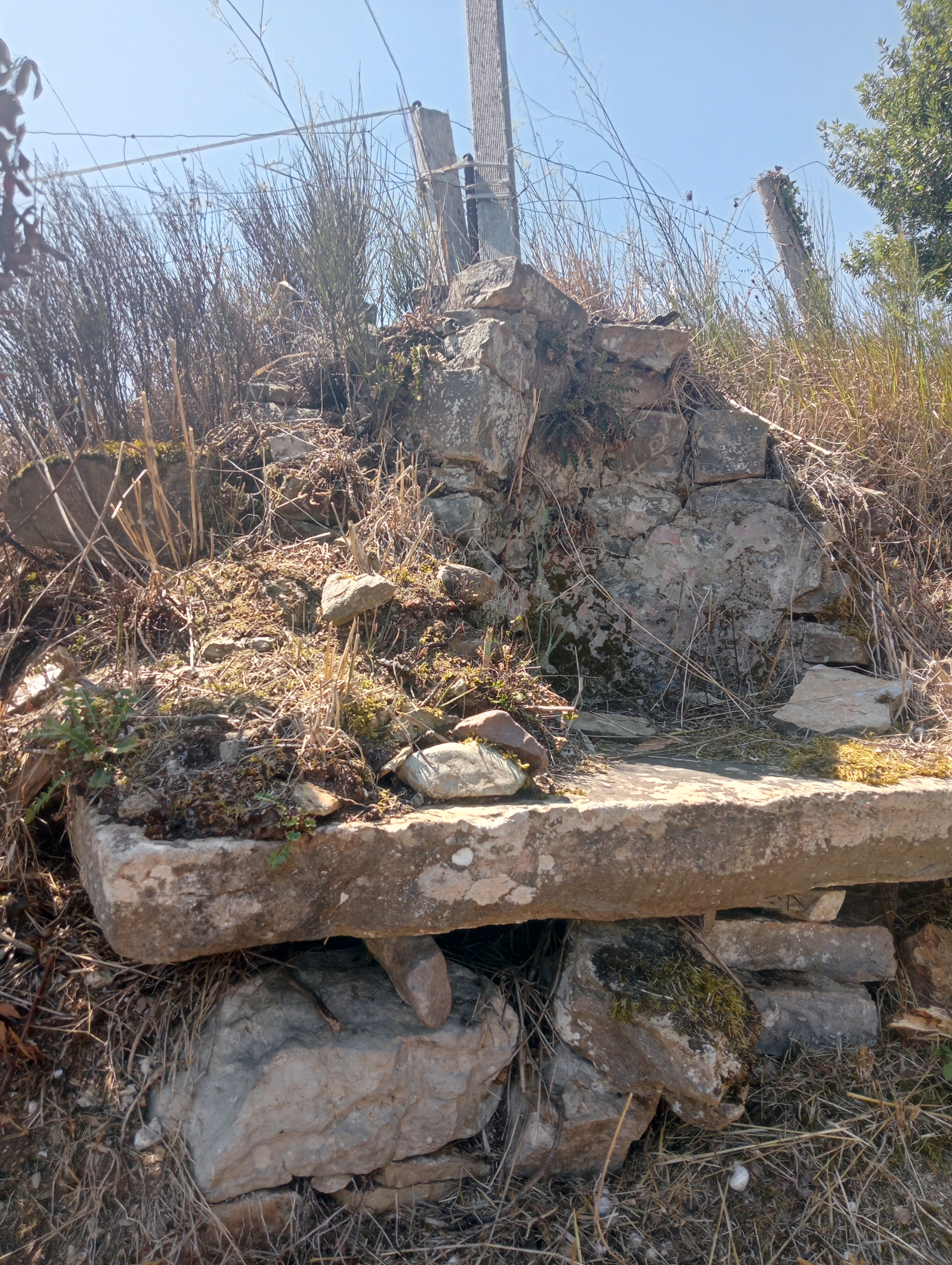 Detalle Gran Losa